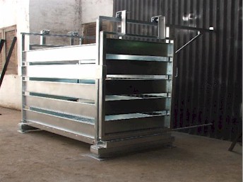 Balanza de trasbilidad para cerdos